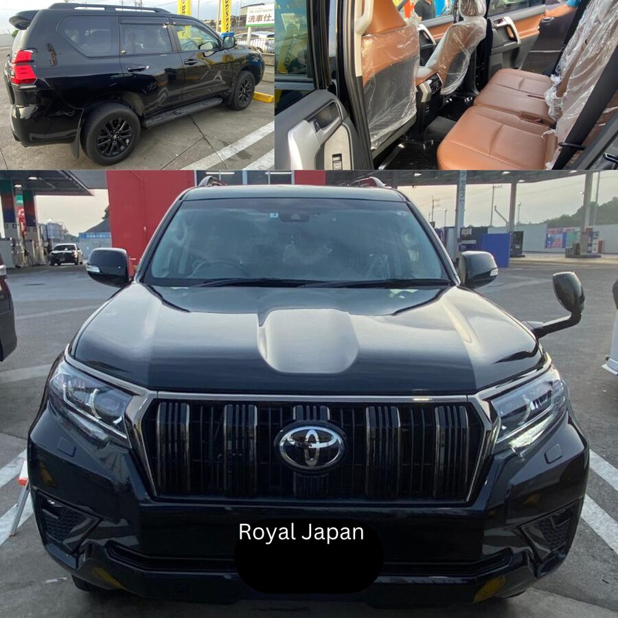 Tokyo: Private Nikko Sightseeing Tour In Luxury Land Cruiser - Edo Wonderland and the problem of too much in one day