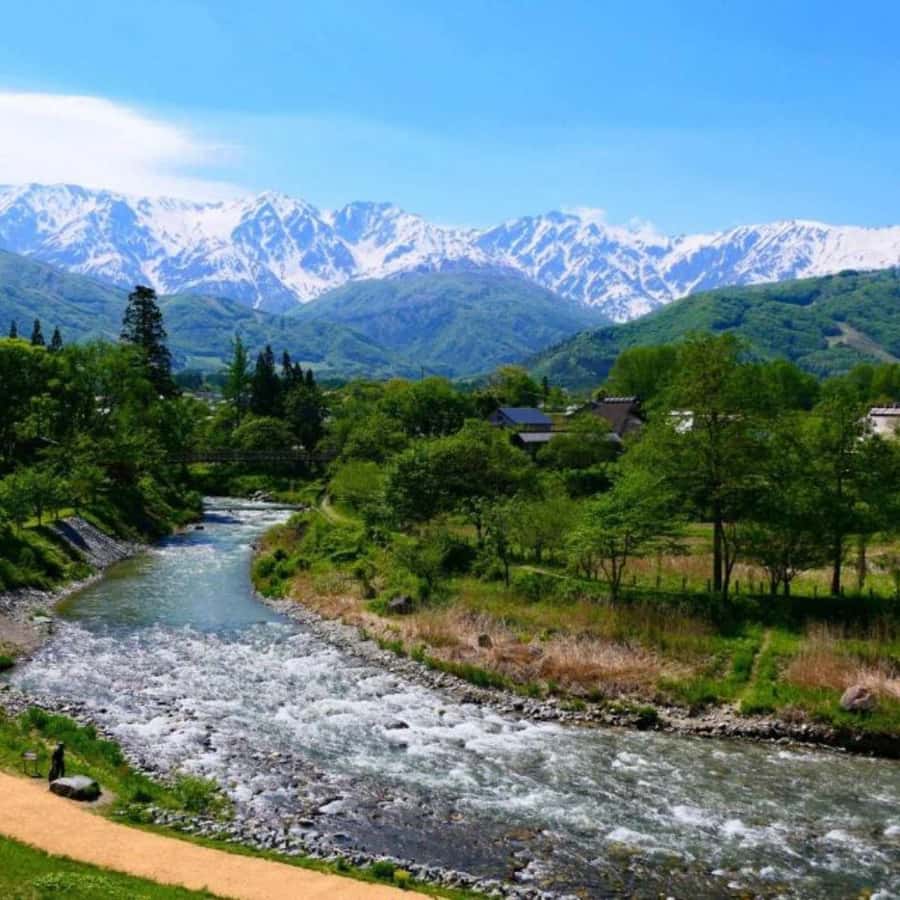 Tokyo: Snow Monkey Park and Zenkoji Temple Private Day Tour - FAQ