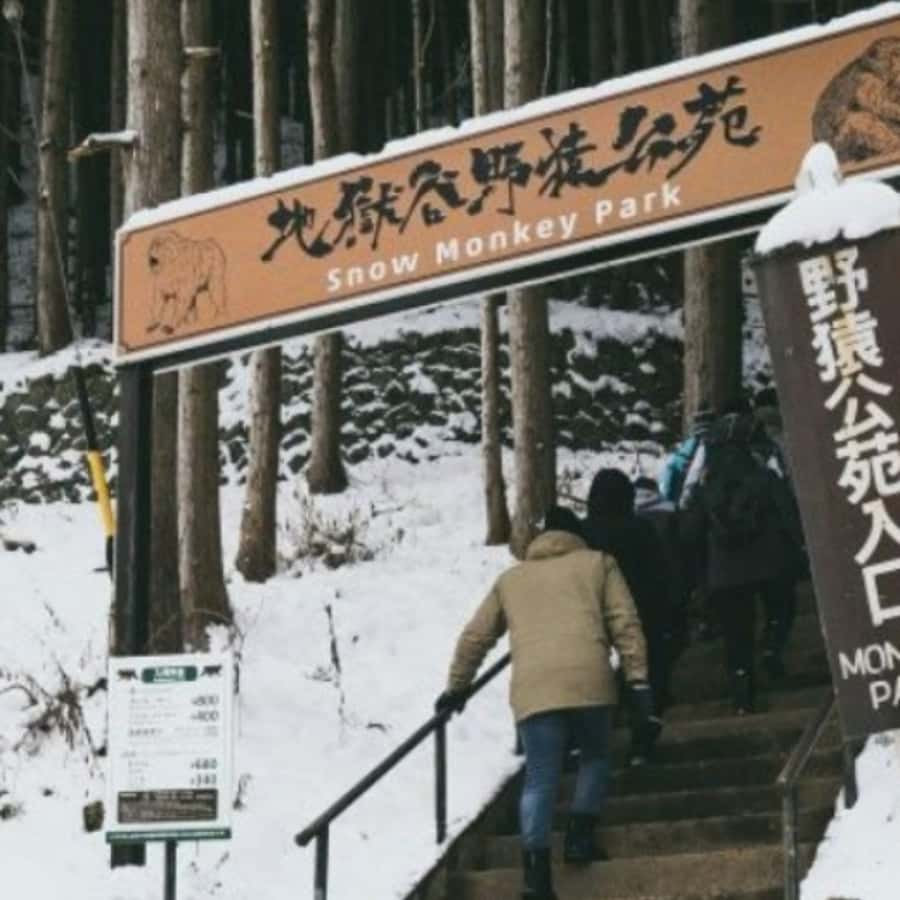 Tokyo: Snow Monkey Park and Zenkoji Temple Private Day Tour - Zenkoji Temple and Nagano’s spiritual center