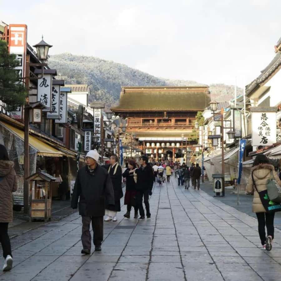 Tokyo: Snow Monkey Park and Zenkoji Temple Private Day Tour - Who will enjoy this most