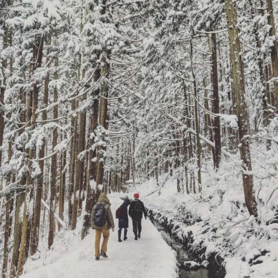 Tokyo: Snow Monkey Park and Zenkoji Temple Private Day Tour - Reaching Jigokudani Monkey Park