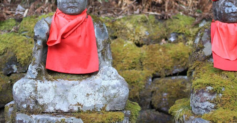 Tokyo to Nikko: Exclusive Private Day Trip - Key details that shape the day