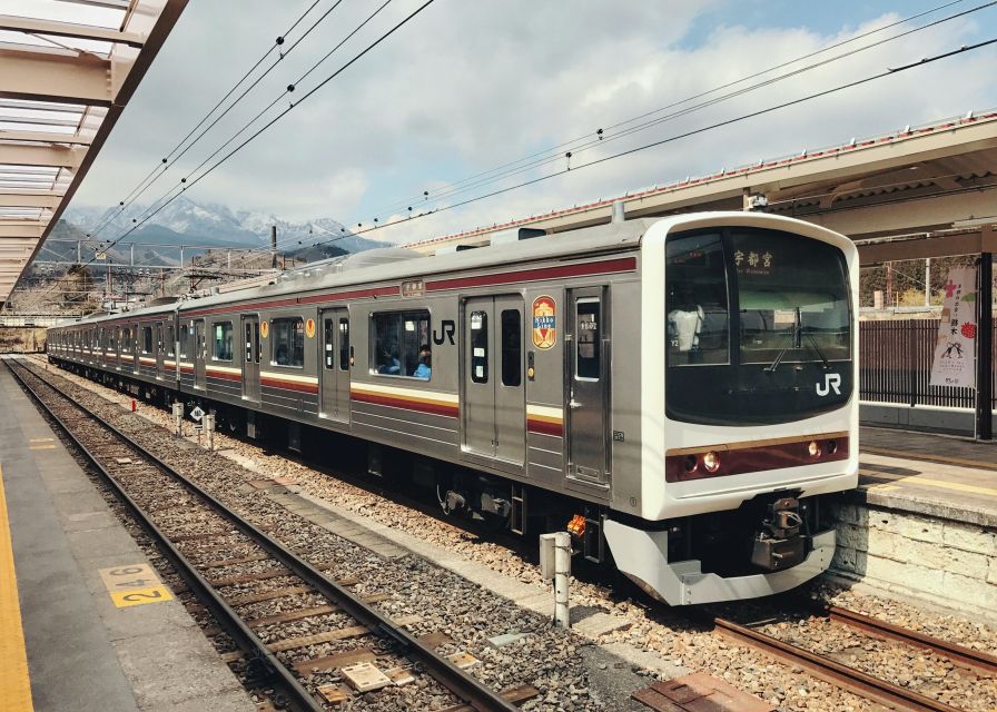 Tokyo to Nikko: Exclusive Private Day Trip - Practical points before you book