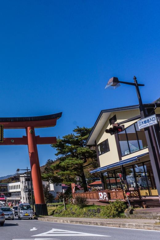Tokyo to Nikko: Exclusive Private Day Trip - From shrine roofs to mountain forest