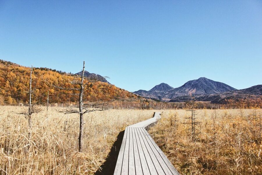 Tokyo to Nikko: Exclusive Private Day Trip - What private guiding adds