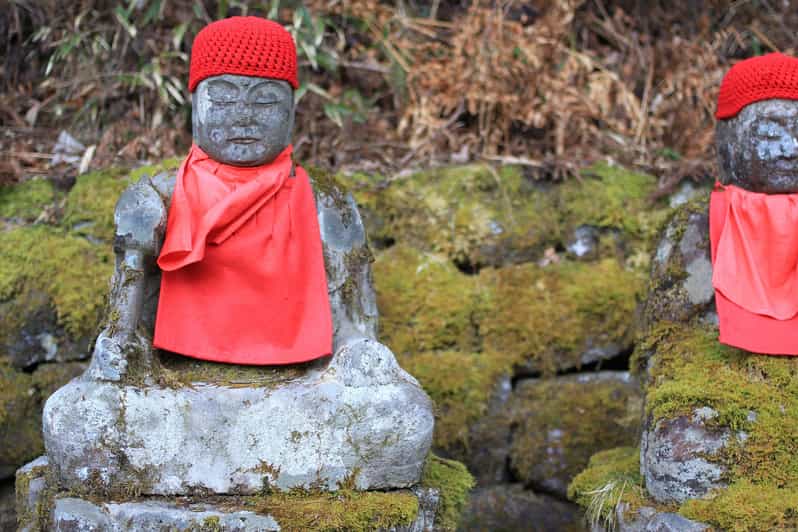 Tokyo to Nikko: Exclusive Private Day Trip - The Tobu train sets the day’s rhythm