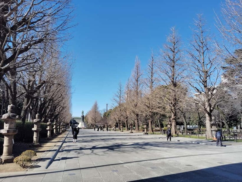 Tokyo War History Tour: Yasukuni Shrine & War Museum - Who will appreciate this experience most