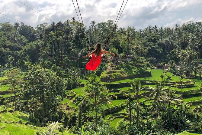 Ubud: Monkey Forest, Jungle Swing, Rice Terrace, and Water Temple - A full day built around Ubud’s big sights