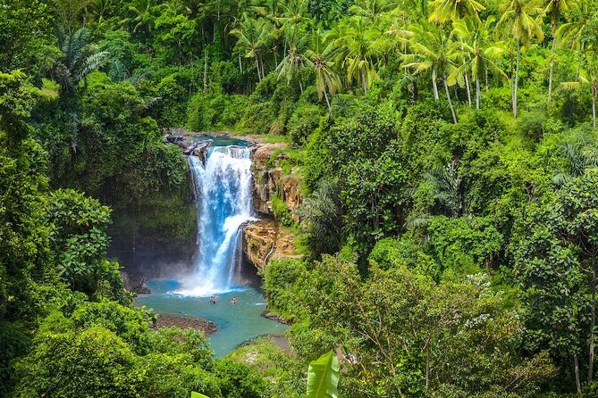 Ubud: Monkey Forest, Jungle Swing, Rice Terrace, and Water Temple - Celuk Village and an Ubud market stop