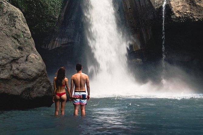 Ubud: Monkey Forest, Jungle Swing, Rice Terrace, and Water Temple - What the $31 price really covers