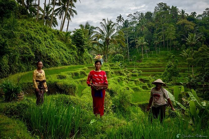 Ubud Monkey Forest - Rice Terrace - Jungle Swing - Water Temple - Tegenungan Waterfall: the day’s wettest stop