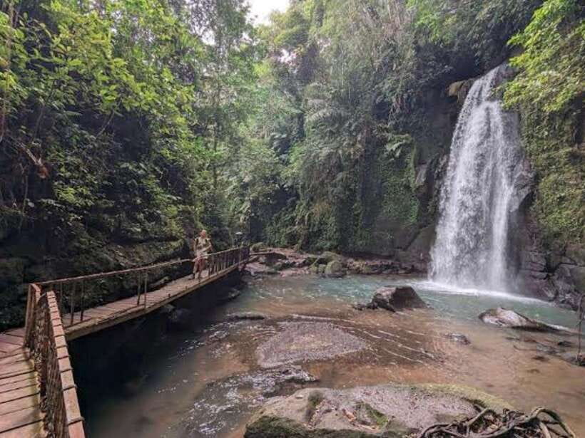 Ubud: Monkey Forest, Temple, Rice Terraces, Hidden Waterfall - Meeting Bali’s macaques at Monkey Forest