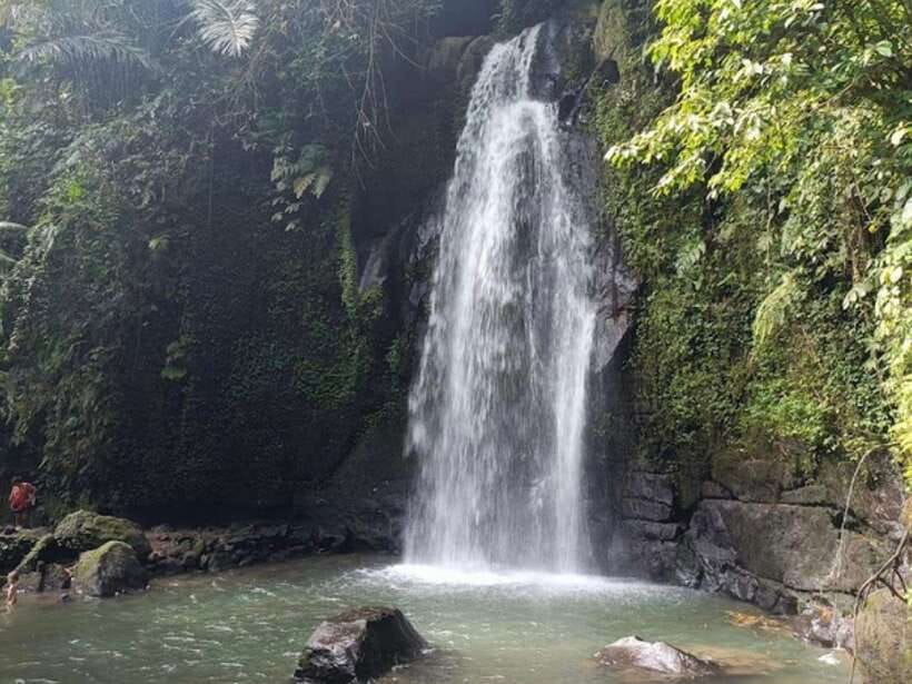 Ubud: Monkey Forest, Temple, Rice Terraces, Hidden Waterfall - Understanding Tirta Empul’s holy water