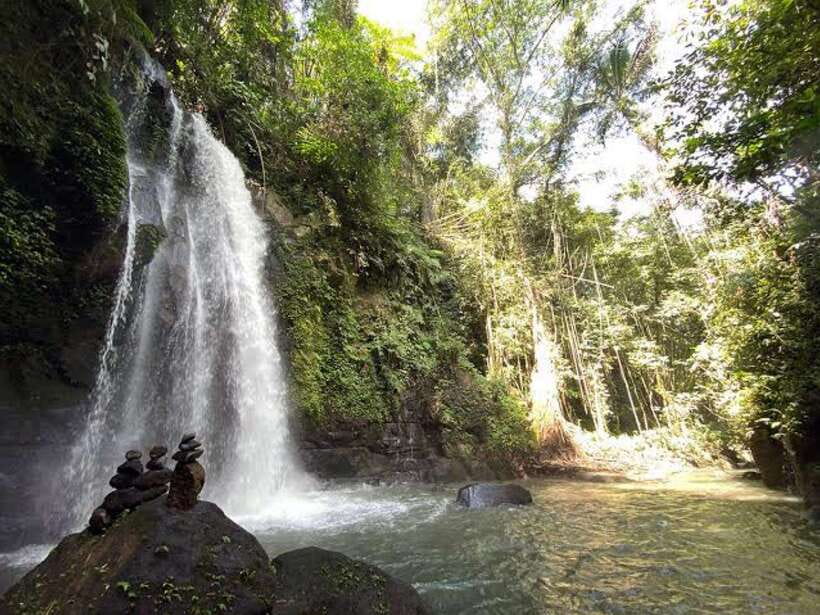 Ubud: Monkey Forest, Temple, Rice Terraces, Hidden Waterfall - Should you book it?