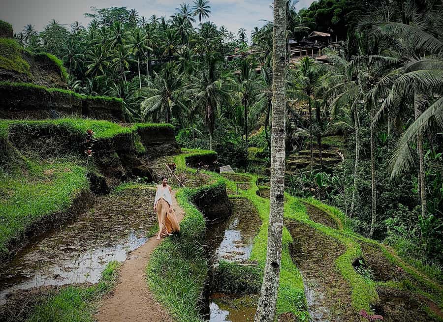 Ubud: Rice Terrace, Holy Water Temple & Waterfalls Trek Tour - Kanto Lampo: short paths, layered water, strong photographs
