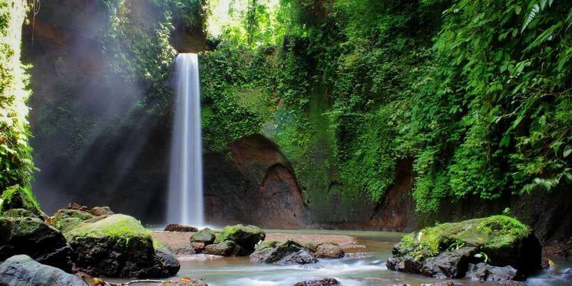 Ubud: Rice Terrace, Holy Water Temple & Waterfalls Trek Tour - Should you book it?