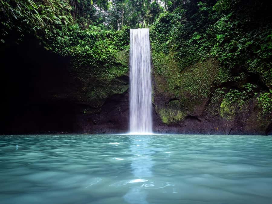 Ubud: Rice Terraces, Water Temple, & Waterfalls Private Tour - A Balinese plantation with fruit, coffee, and tea