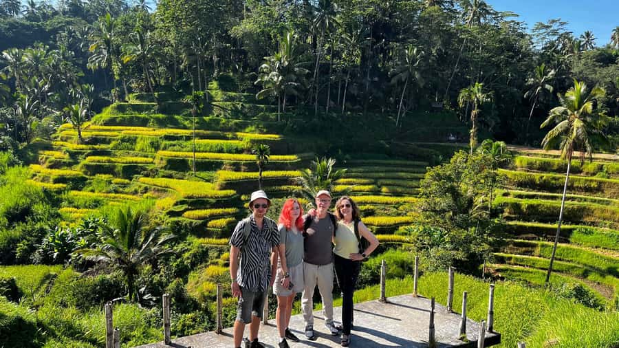Ubud: Rice Terraces, Water Temple, & Waterfalls Private Tour - Why the private format changes the day