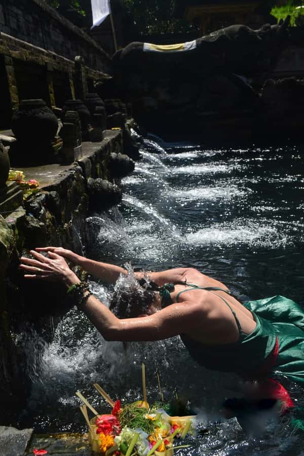 Ubud: Rice Terraces, Water Temple, & Waterfalls Private Tour - Lunch and the final return to Ubud