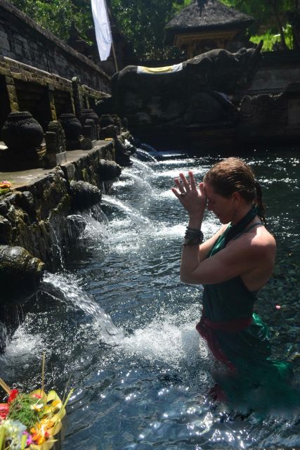 Ubud: Rice Terraces, Water Temple, & Waterfalls Private Tour - Who should book this Ubud day?
