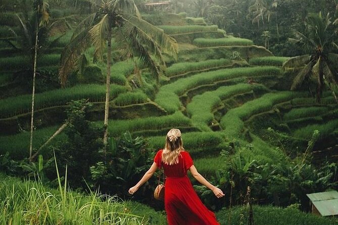 Ubud: Swing - Monkey Forest - Waterfall - Temple - Rice Terraces - Art Crafts - Why this Ubud day works well from Kuta