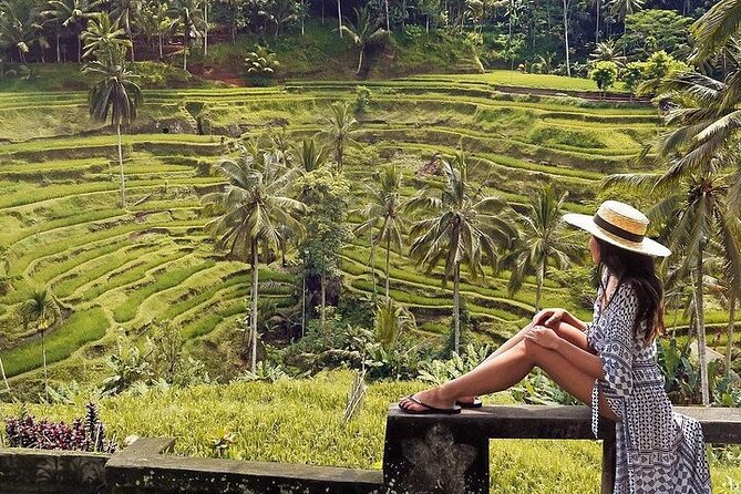Ubud: Swing - Monkey Forest - Waterfall - Temple - Rice Terraces - Art Crafts - Sacred Monkey Forest combines wildlife and Balinese temples