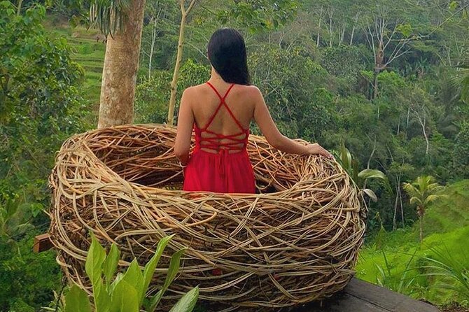 Ubud: Swing - Monkey Forest - Waterfall - Temple - Rice Terraces - Art Crafts - My Swing Bali is the most staged stop