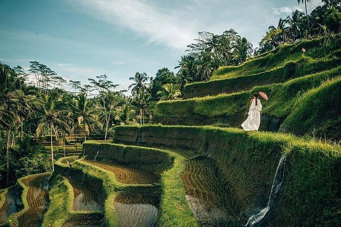 Ubud: Swing - Monkey Forest - Waterfall - Temple - Rice Terraces - Art Crafts - Tegenungan Waterfall starts the day with tropical scenery