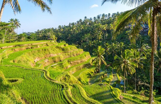 Ubud Top Attractions: Waterfalls, Temples and Rice Terraces - Key points before you book