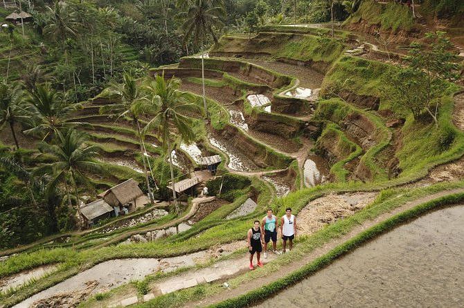 Ubud Top Attractions: Waterfalls, Temples and Rice Terraces - d’Alas Swing: fun photos with a jungle view