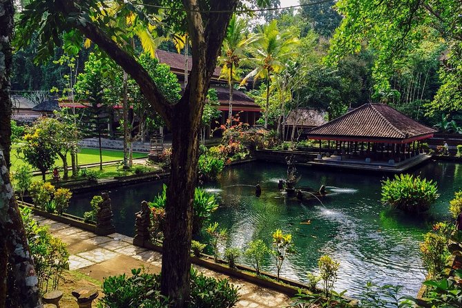Ubud Top Attractions: Waterfalls, Temples and Rice Terraces - Tegalalang Rice Terrace: a short walk through working fields