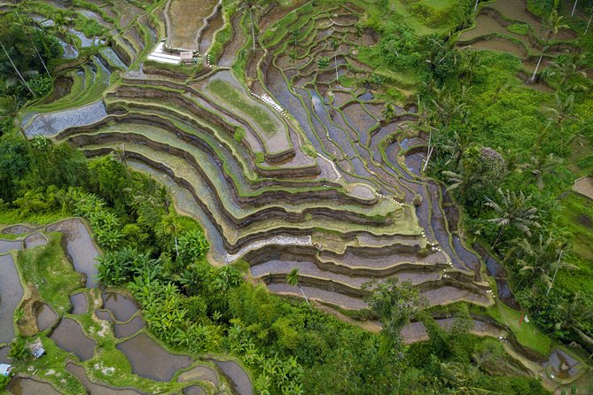 Ubud Top Attractions: Waterfalls, Temples and Rice Terraces - Driving time, traffic, and the private format