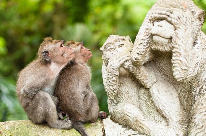 Ubud Tour with Swing, Temple, Monkey Forest, and Waterfall - Key things to know before you book