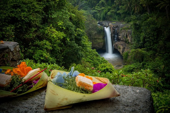 Ubud Tour with Swing, Temple, Monkey Forest, and Waterfall - The Happy Swing: big views and photo time