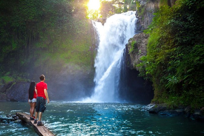 Ubud Tour with Swing, Temple, Monkey Forest, and Waterfall - Four village stops that change the pace