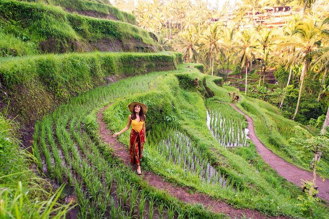 Ubud Tour with Swing, Temple, Monkey Forest, and Waterfall - Sacred Monkey Forest Sanctuary: macaques among temples