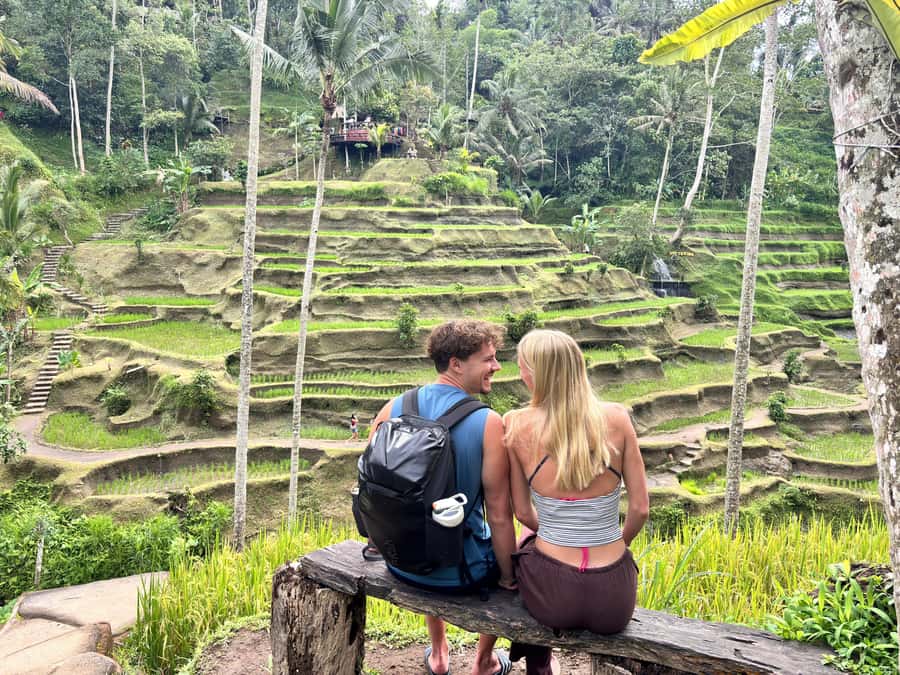 Ubud: Waterfalls, Water Temple & Rice Terraces Private Tour - Why this Ubud day works