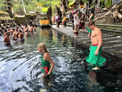 Waterfalls, Water Temple & Rice Terraces Private Tour