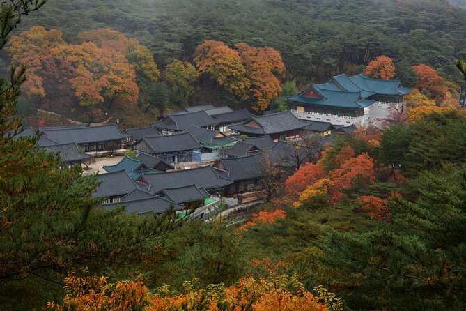 UNESCO Tongdosa Temple + Gourmet Eonyang Style Bulgogi Lunch - A private tour, not a large coach outing