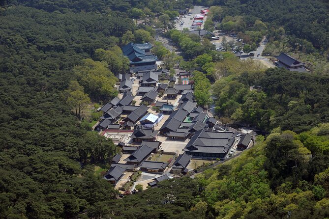 UNESCO Tongdosa Temple + Gourmet Eonyang Style Bulgogi Lunch - Who should book this Tongdosa tour