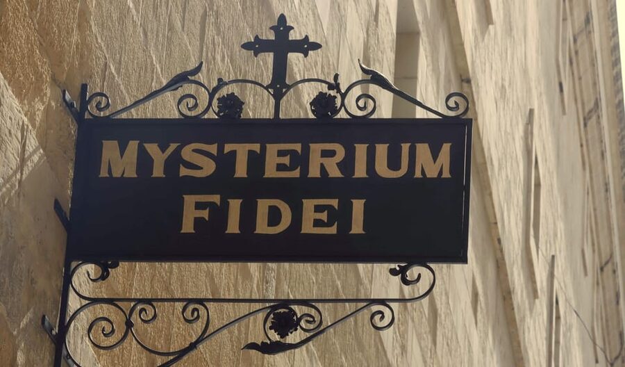 Valletta: Monastery and Secret Garden Entry Ticket - The cloister garden and old vines