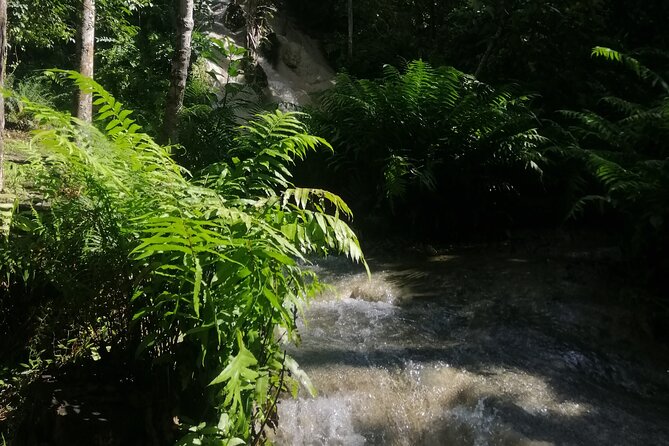 Visit Dantewada(Angel Land), Blue Temple, and Sticky Waterfall - Bua Tong is the hands-on finale