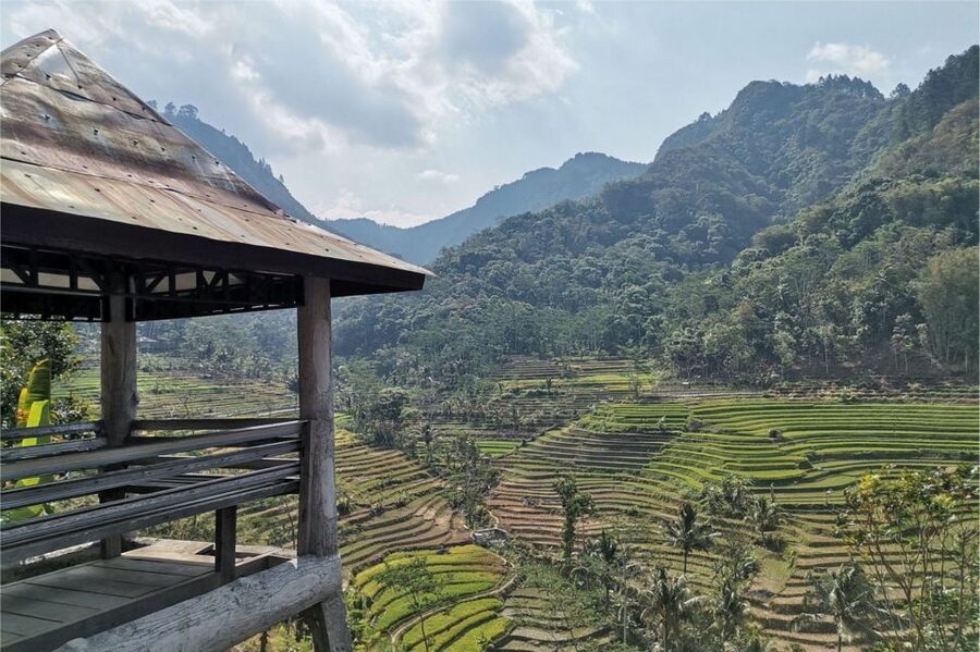 Yogyakarta: Selogriyo Temple, Rice Terraces & Waterfall Tour - How strenuous is the full day?