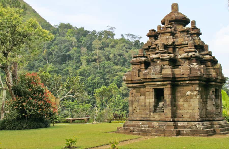 Yogyakarta: Selogriyo Temple Tour & Java Rice Terrace Trek - Who will enjoy this tour most